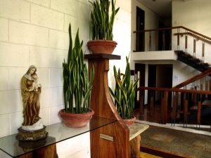 img_4927ed_18464291563_o