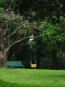 img_5039_18897256320_o