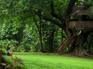 img_5091ed_19098919575_o